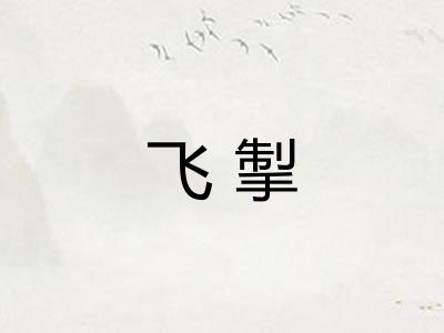 飞掣