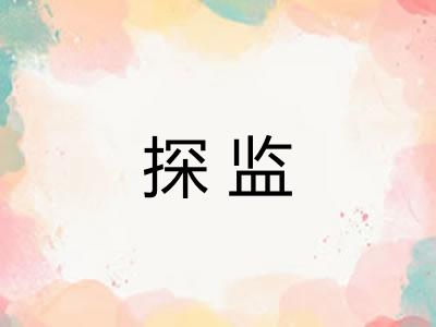 探监 探监