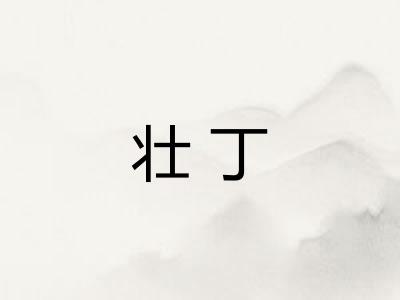 壮丁