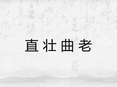 直壮曲老