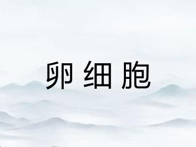 卵细胞