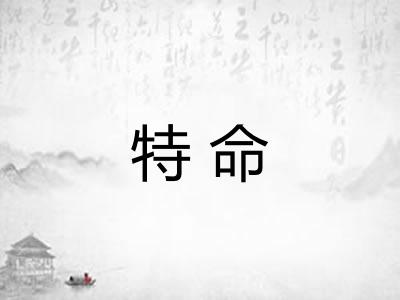特命