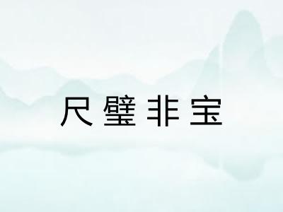 尺璧非宝