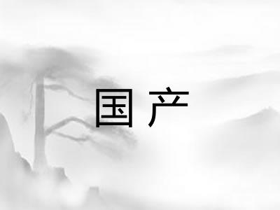 国产 国产