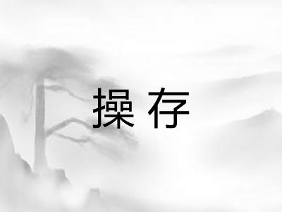 操存
