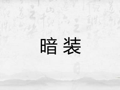暗装