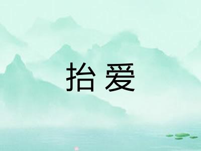 抬爱
