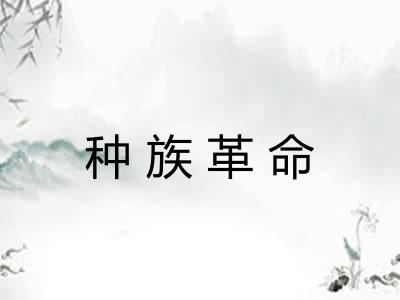 种族革命