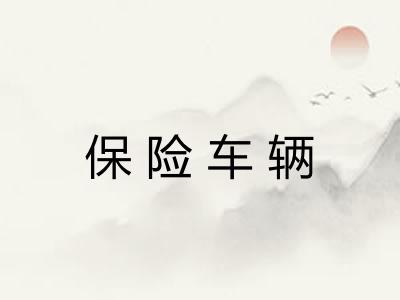 保险车辆