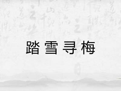 踏雪寻梅
