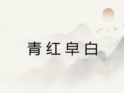 青红皁白