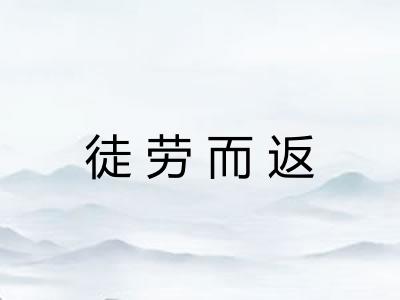 徒劳而返
