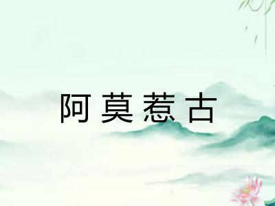 阿莫惹古 阿莫惹古