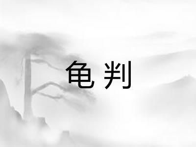 龟判