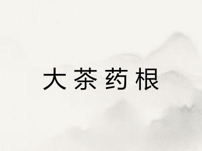 大茶药根