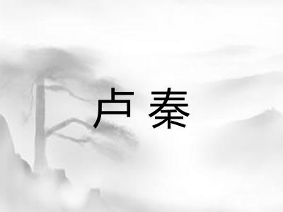 卢秦