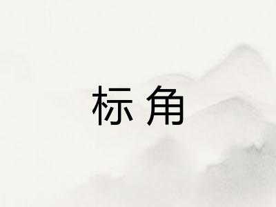标角