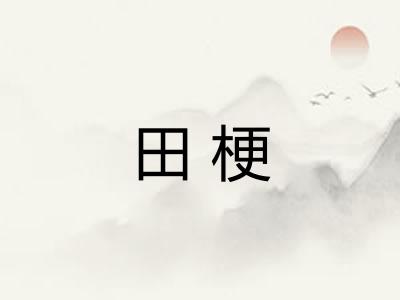 田梗