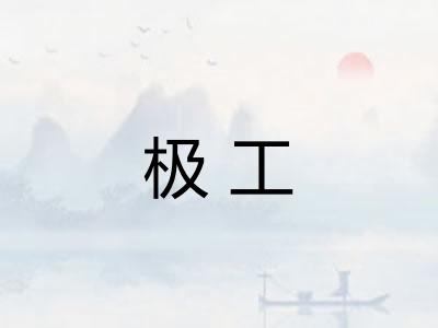 极工