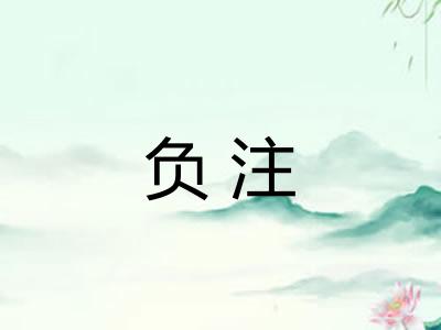 负注 负注