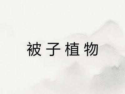 被子植物 被子植物