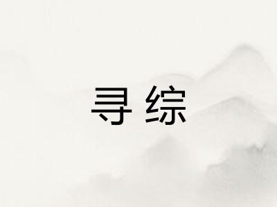 寻综