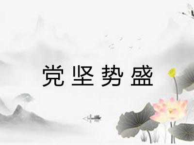 党坚势盛 党坚势盛