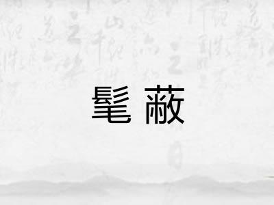 髦蔽