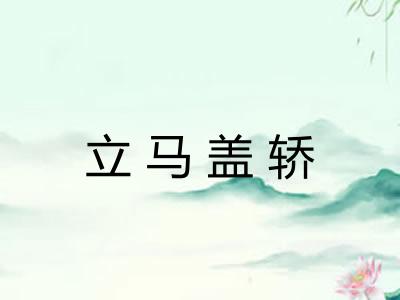 立马盖轿