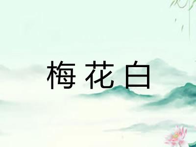 梅花白 梅花白