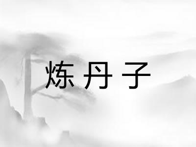 炼丹子