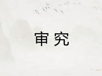 审究
