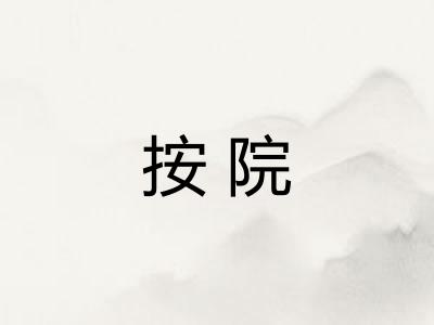 按院