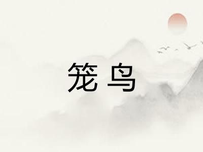 笼鸟