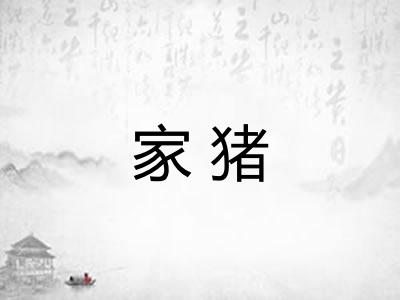 家猪 家猪