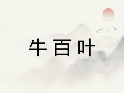 牛百叶