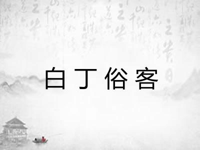 白丁俗客