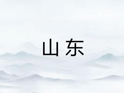 山东 山东