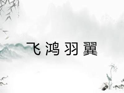 飞鸿羽翼