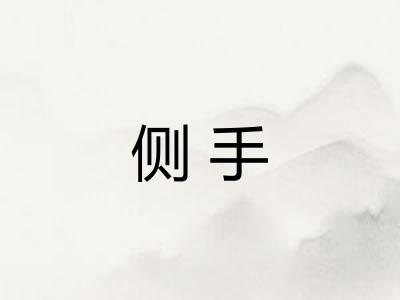 侧手