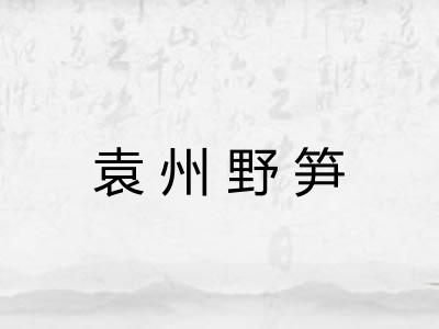 袁州野笋
