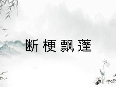 断梗飘蓬