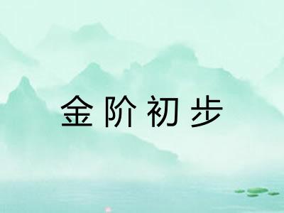 金阶初步