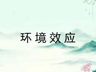 环境效应