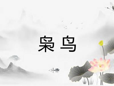 枭鸟