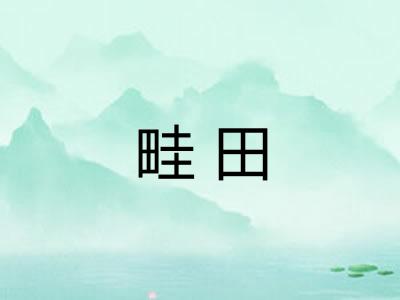 畦田