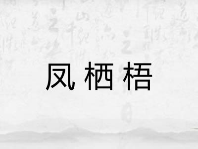 凤栖梧 凤栖梧