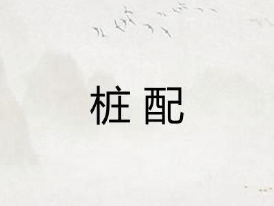 桩配