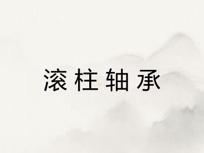 滚柱轴承