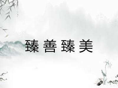 臻善臻美